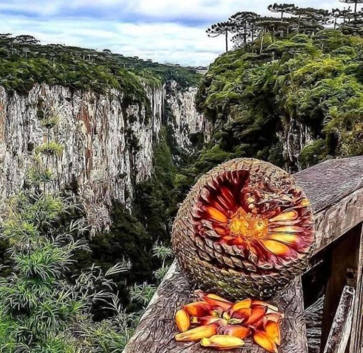 Pousada Encanto Dos Canions Cambará Exteriér fotografie